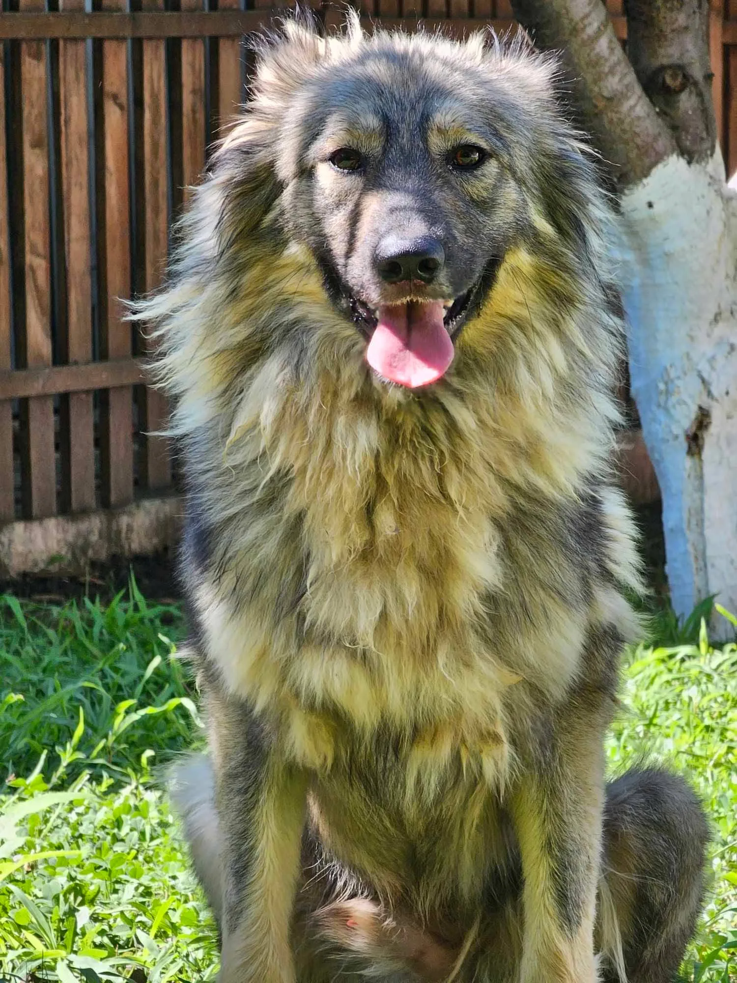 Sterilizations & prevention